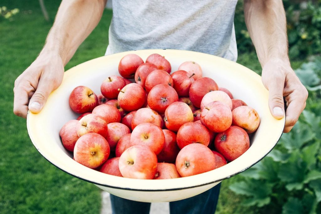 Organic Agriculture | USDA