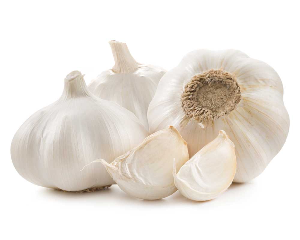 benefits juicing garlic 02