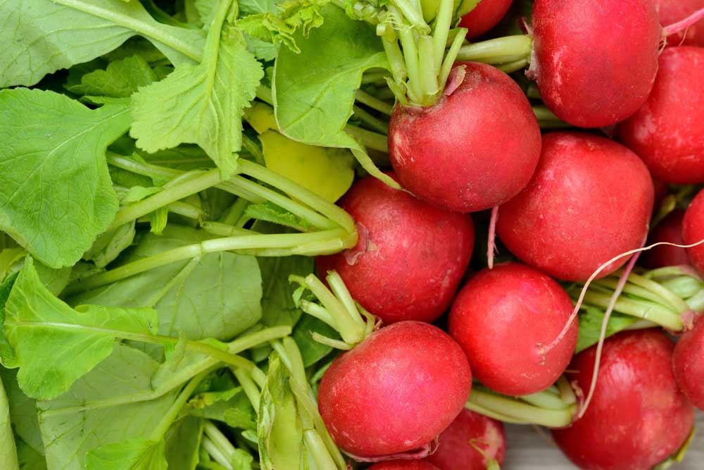 benefits juicing radishes 01