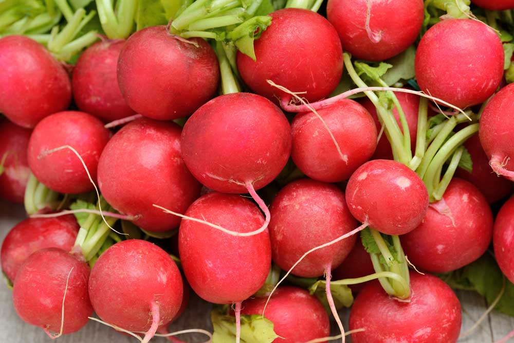 benefits juicing radishes 02