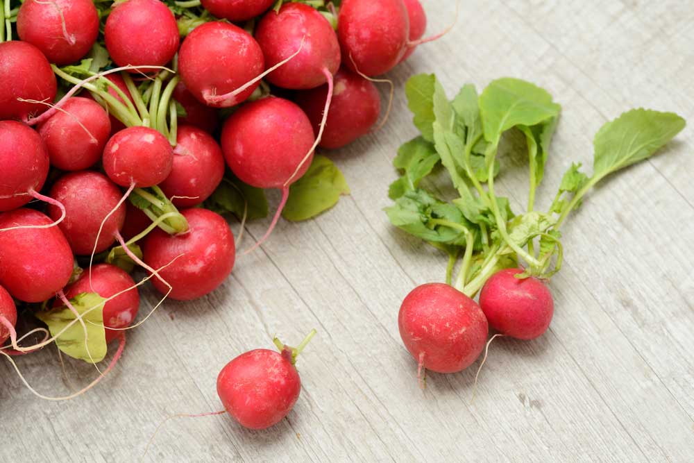 benefits juicing radishes 03
